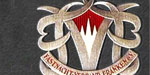 FVF-Verdienstorden